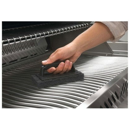 Abrasive-Scrubber-Napoleon-02