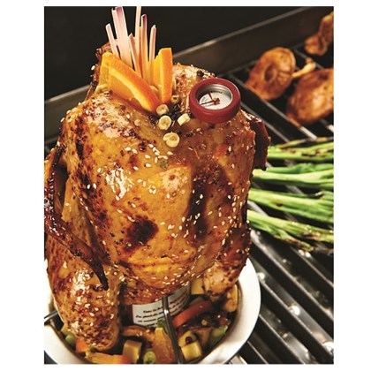 Broil-King-Chicken-Grill-Base-and-Thermometer-03