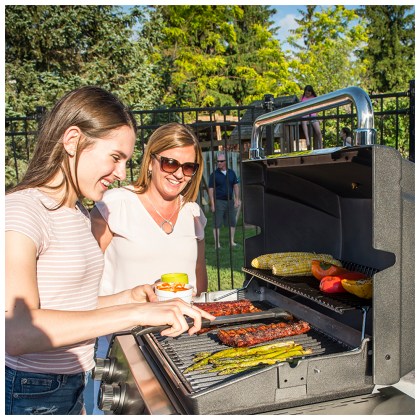 Broil King SIGNET 320