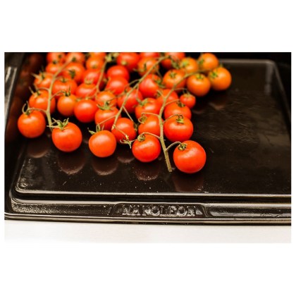 Cast Iron Grill Plancha Napoleon for Prestige and PRO Series