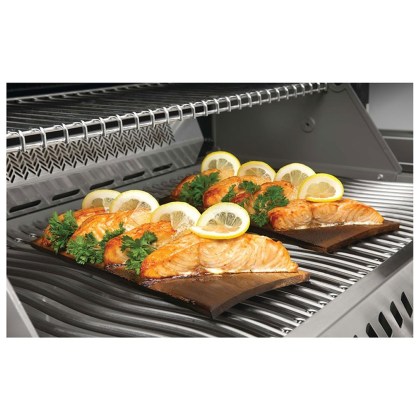 Cedan-Grilling-Plank-Napoleon-02