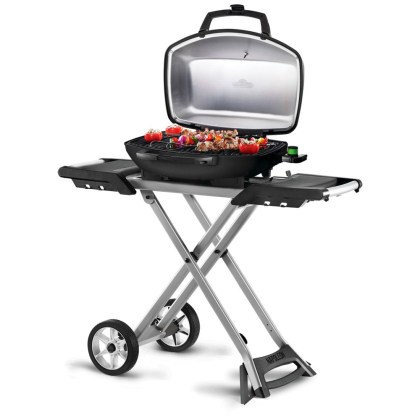 Napoleon Electric PortableTravelQ PRO285EX
