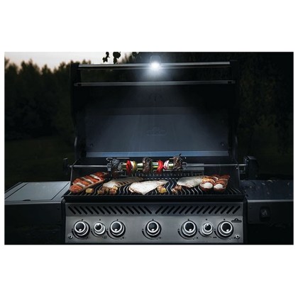 Flashlight-Grill-Napoleon-028