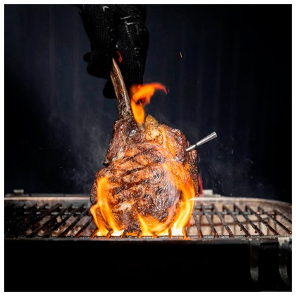 Meater 2 Plus Wifi Bluetooth Wireless Meat Thermometer