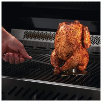 Napoleon Chicken Grill base