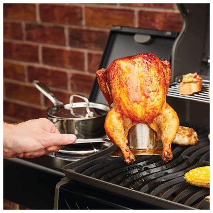 Napoleon Chicken Grill base