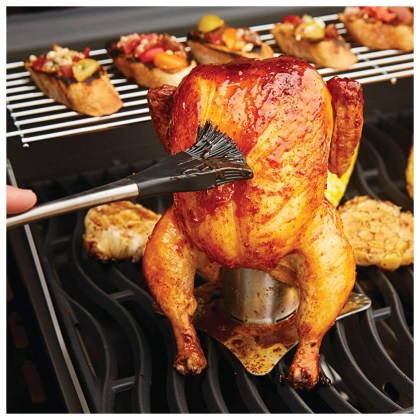 Napoleon Chicken Grill base