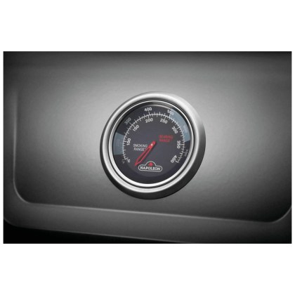  Napoleon Freestyle 365 DSIB Graphite Gas Grill