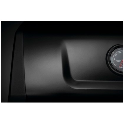 Napoleon Freestyle® 425 SIB Phantom Gas Grill