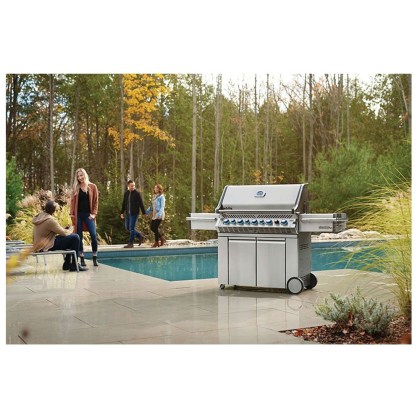 Napoleon Prestige PRO 665 Stainless Steel Natural Gas Gas Grill