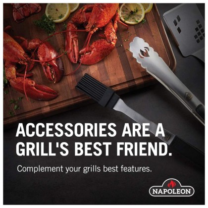 Napoleon Professional Cast Iron Skillet