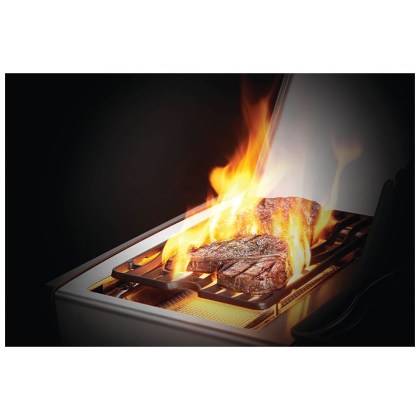 Napoleon Rogue 425 SE Black GAS GRILL