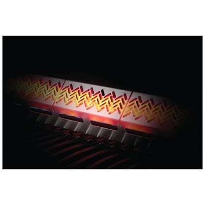 Napoleon Rogue 425 SE Black GAS GRILL