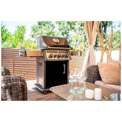 Napoleon Rogue 425 SE Black GAS GRILL