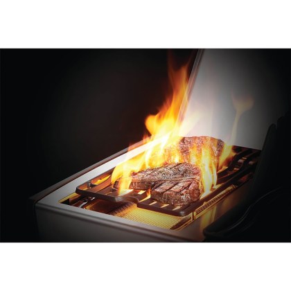 Napoleon-Rogue-425-SE-Stainless-Steel-05