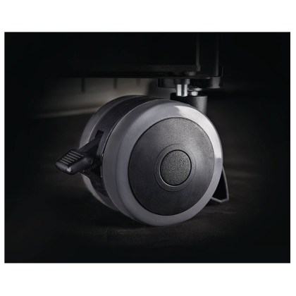 Napoleon Prestige 500 Stainless Steel