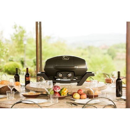 Napoleon-TravelQ-PRO285-05