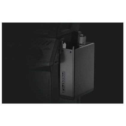 Napoleon Freestyle 425 SB Graphite