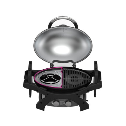 Pit Boss 2 Burner Portable Gas Grill - Trivet I Grill me