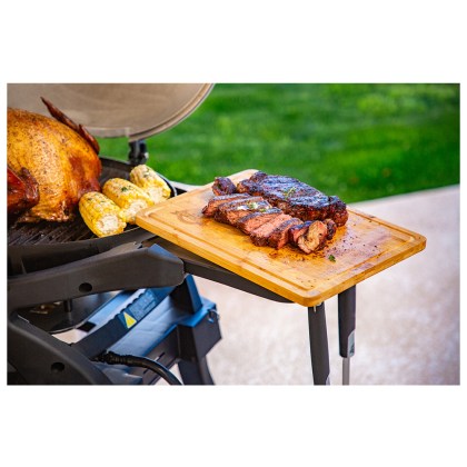 Pit Boss Portable Gas Grill Sportsman 2 Grey - 30mb, with manifold kit