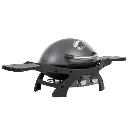 Pit Boss Portable Gas Grill Sportsman 2 Grey - 30mb, with manifold kit