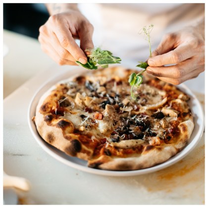Pizza Stone and Wheel Napoleon