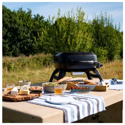 Portable Gas Grill Napoleon TravelQ 240