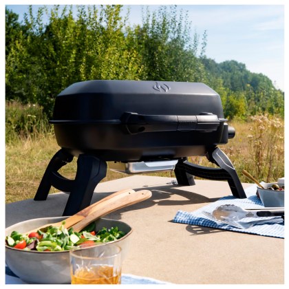 Portable Gas Grill Napoleon TravelQ 240