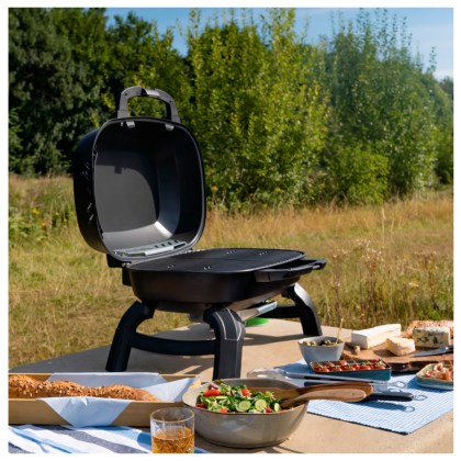 Portable Gas Grill Napoleon TravelQ 240