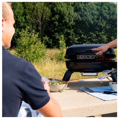 Portable Gas Grill Napoleon TravelQ 240