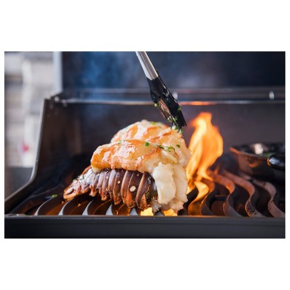 Silicone and SS Basting Brush Napoleon Pro