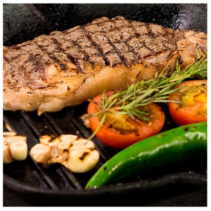 THERMOGATZ Cast Iron Grill FTG-2729G