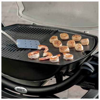 WEBER-Cast-Iron-Plate-Q-2000-series-04
