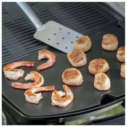 WEBER-Cast-Iron-Plate-Q-2000-series-05