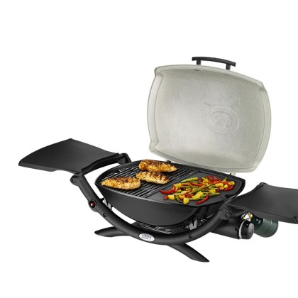 WEBER-Cast-Iron-Plate-Q-2000-series-06