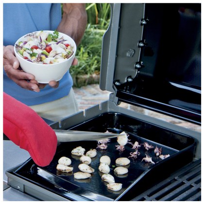 WEBER-Cast-Iron-Plate-SPIRIT-300-series-03