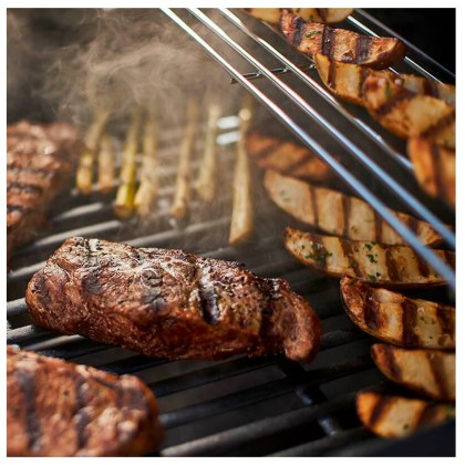 WEBER-GAS-BBQ-SPIRIT-E-325-08