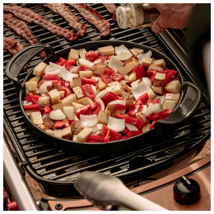 WEBER GAS BBQ TRAVELER