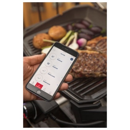 WEBER PULSE 2000 black