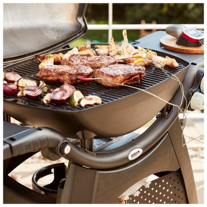 WEBER-Q-3200-With-Stand-BLACK-04