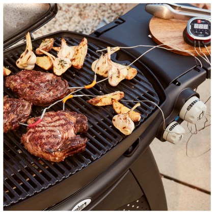 WEBER-Q-3200-With-Stand-BLACK-05