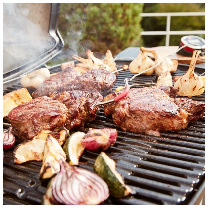WEBER Q 3200 With Stand BLACK Ψησταριά Υγραερίου