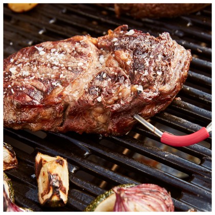 WEBER Q 3200 With Stand BLACK Ψησταριά Υγραερίου