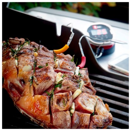 WEBER iGrill 2TM