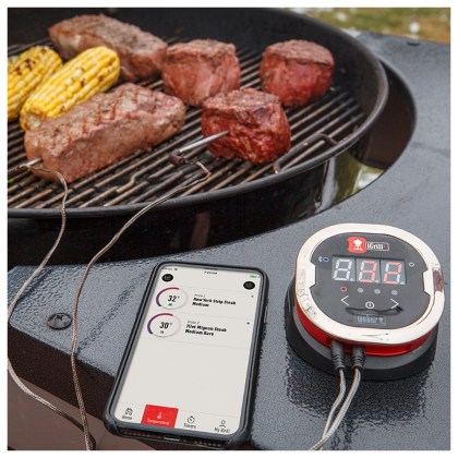WEBER iGrill 2TM