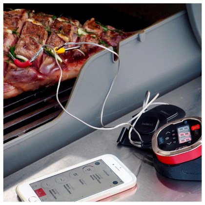 WEBER iGrill 2TM