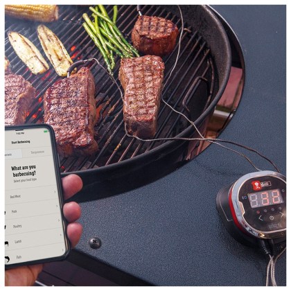 WEBER iGrill 2TM