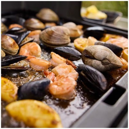 Weber Gas Grill Genesis SP-435