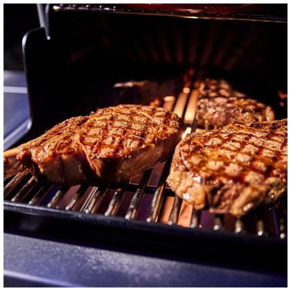 Weber Summit E Gas Grill - Black