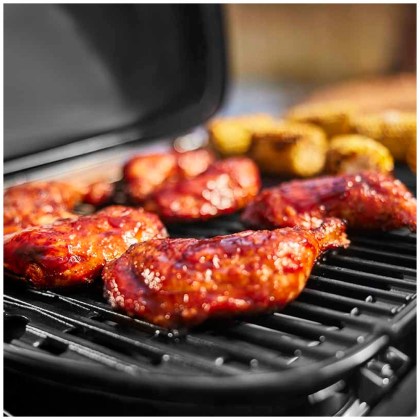 Weber Traveler Compact Portable Gas Grill